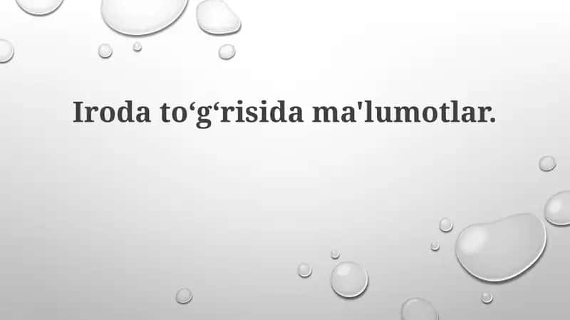 Ofis haqida umumiy ma'lumot