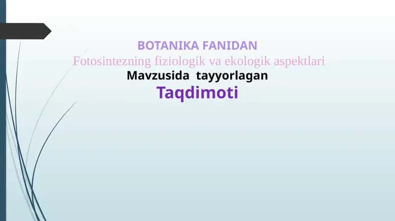 Fotosintezning fiziologik va ekologik aspektlari