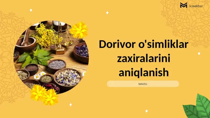 Dorivor o'simliklar zaxiralarini aniqlanish
