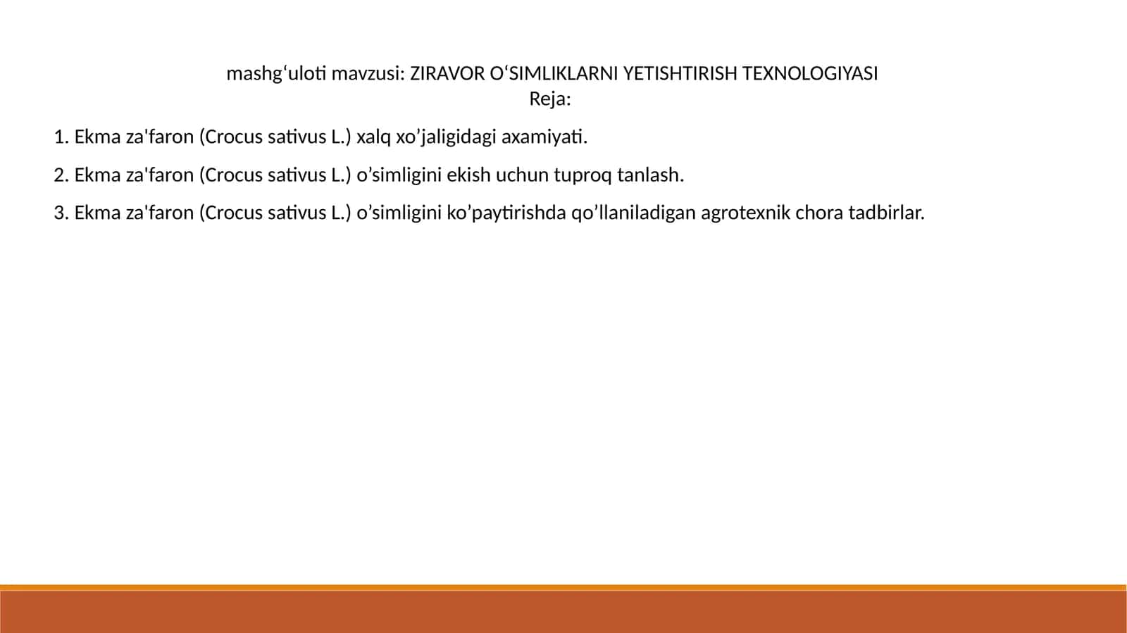 Ekma za'faron (Crocus sativus L.) YETISHTIRISH TEXNOLOGIYASI