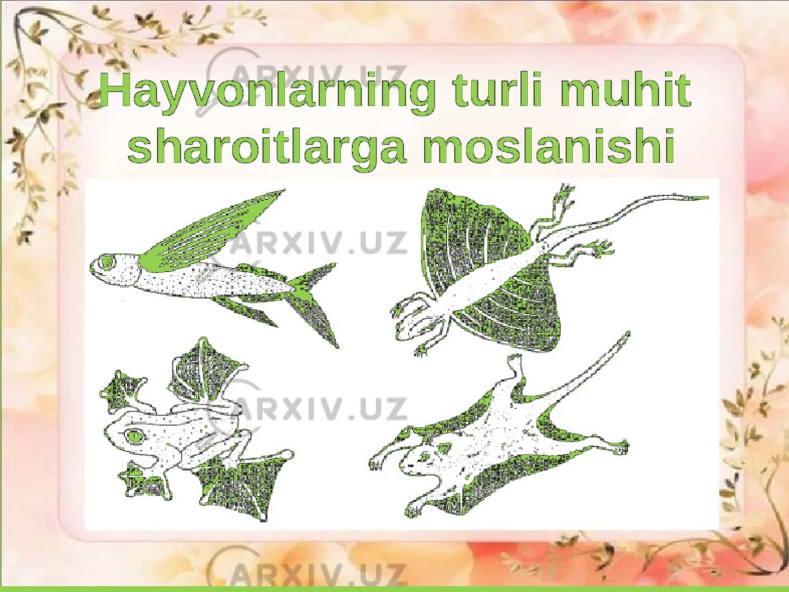 Hayvonot olamidagi moslanishlar