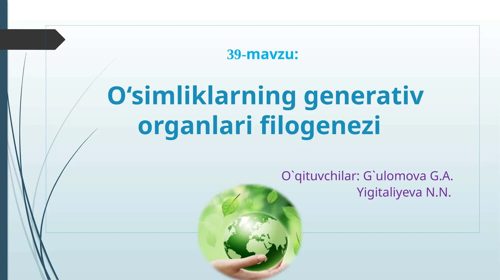 O‘simliklarning generativ organlari filogenezi