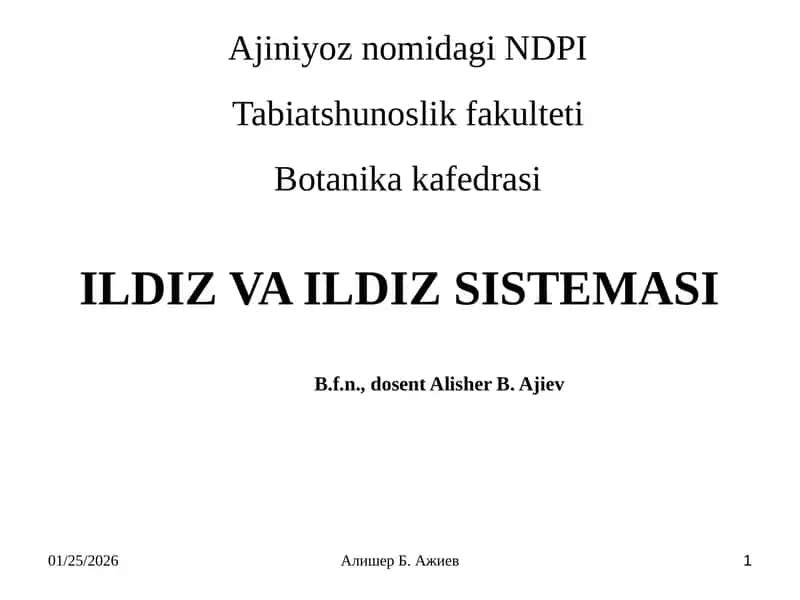 ILDIZ VA ILDIZ SISTEMASI