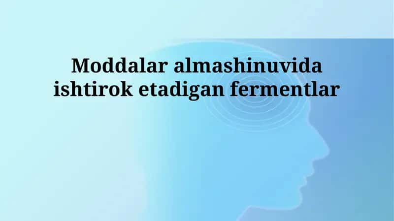 Fermentlar va metabolizm