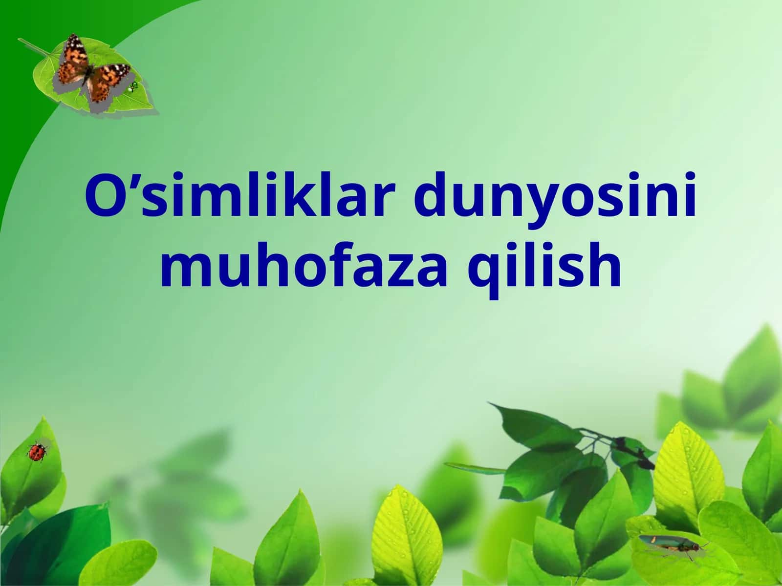 O'simliklar dunyosini muhofaza qilish