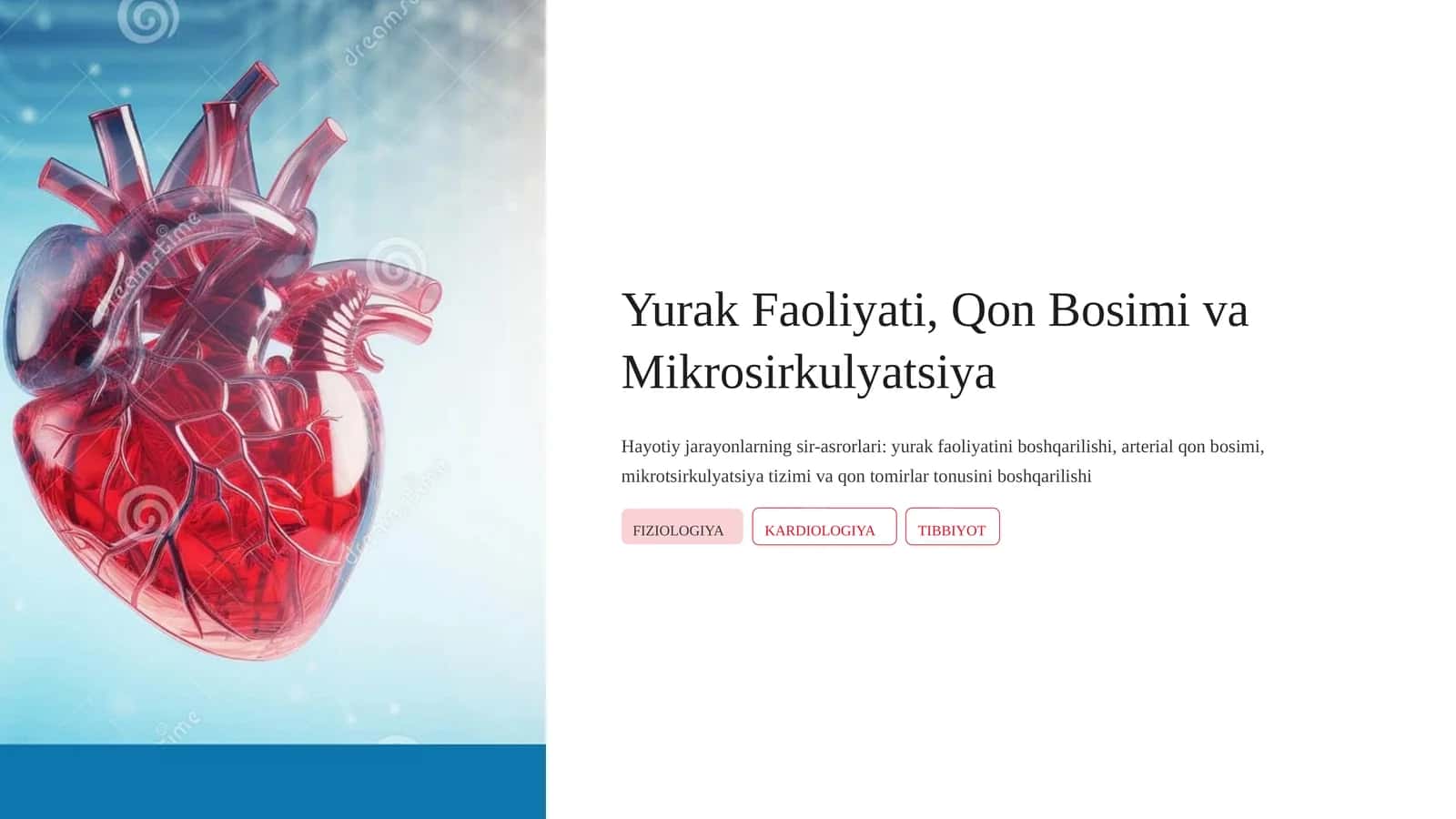 Yurak Faoliyati, Qon Bosimi va Mikrosirkulyatsiya