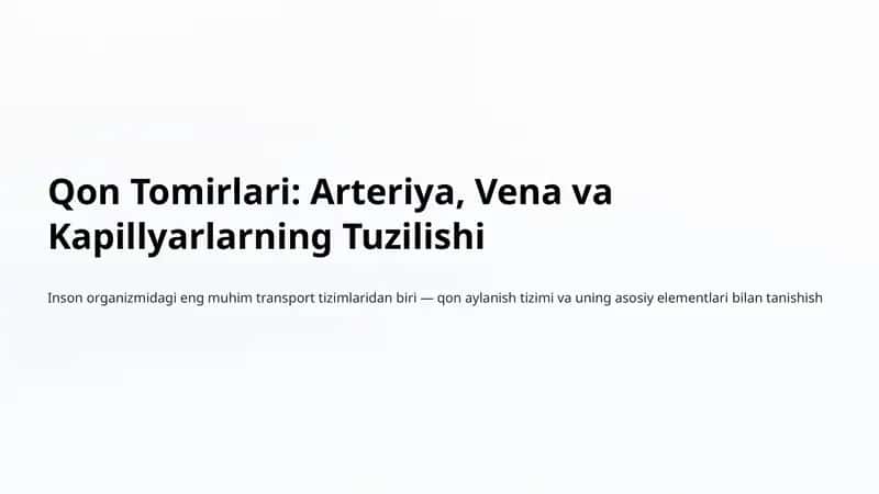 Qon Tomirlari: Arteriya, Vena va Kapillyarlarning Tuzilishi