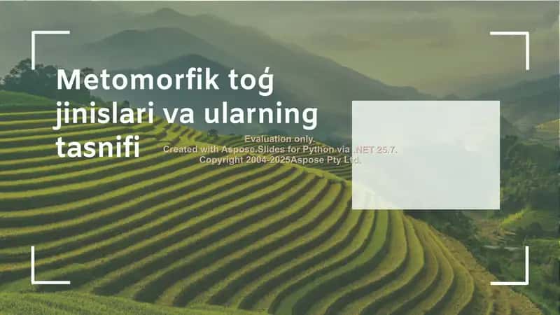 Metomorfik to'g' jiniari va ularning tasnifi