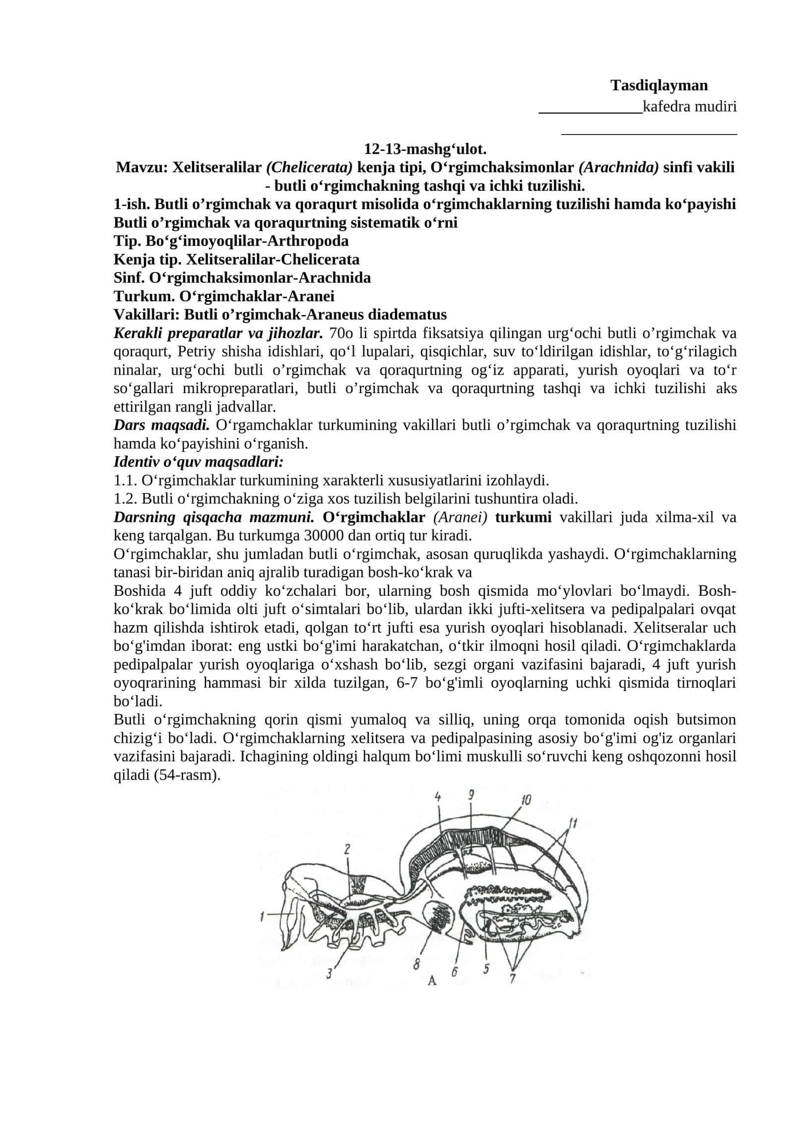 O‘rgimchaklar (Arachnida)