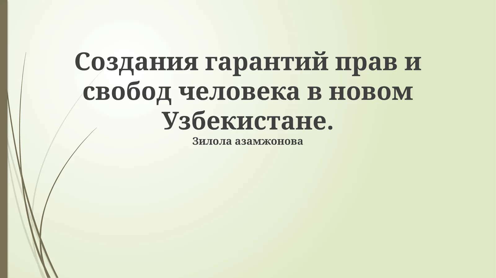Создания гарантий прав и свобод человека в новом Узбекистане