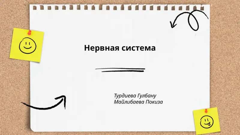 Нервная система