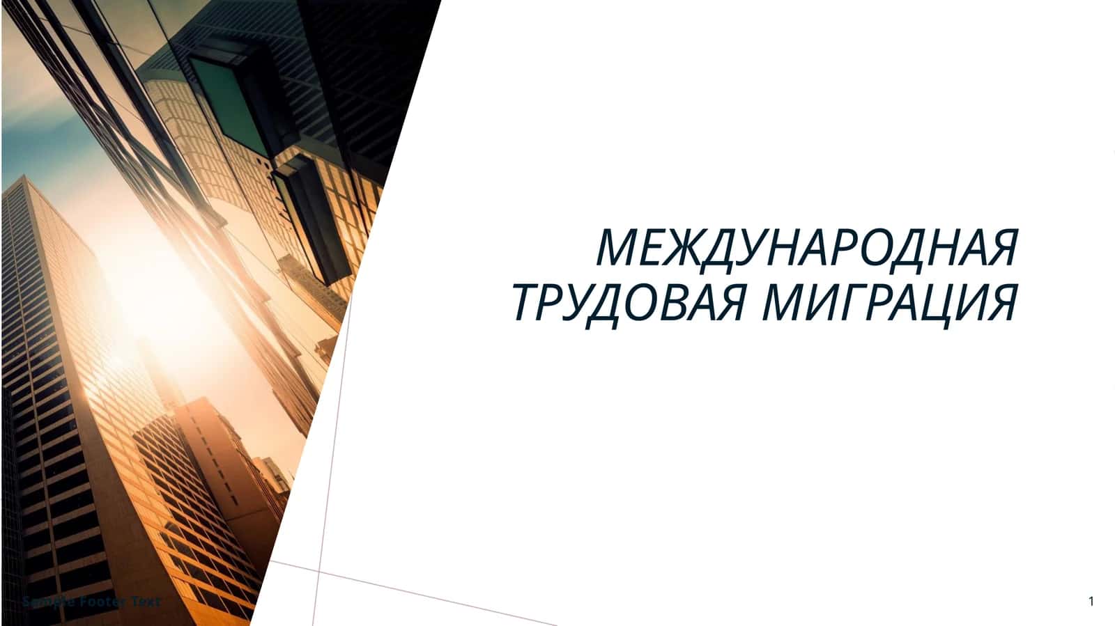 Международная трудовая миграция
