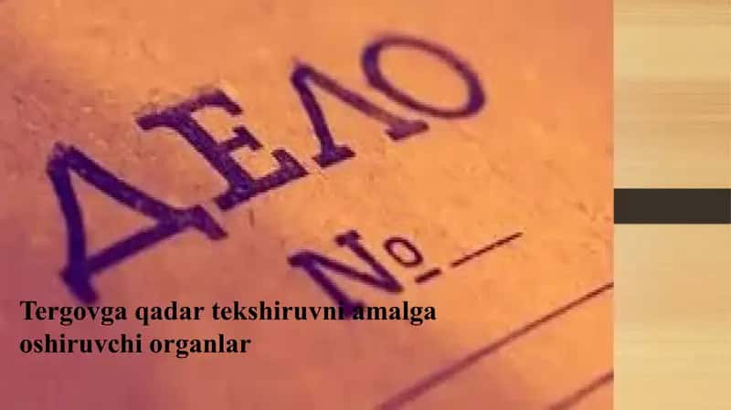 Tergovga qadar tekshiruvni amalga oshiruvchi organlar