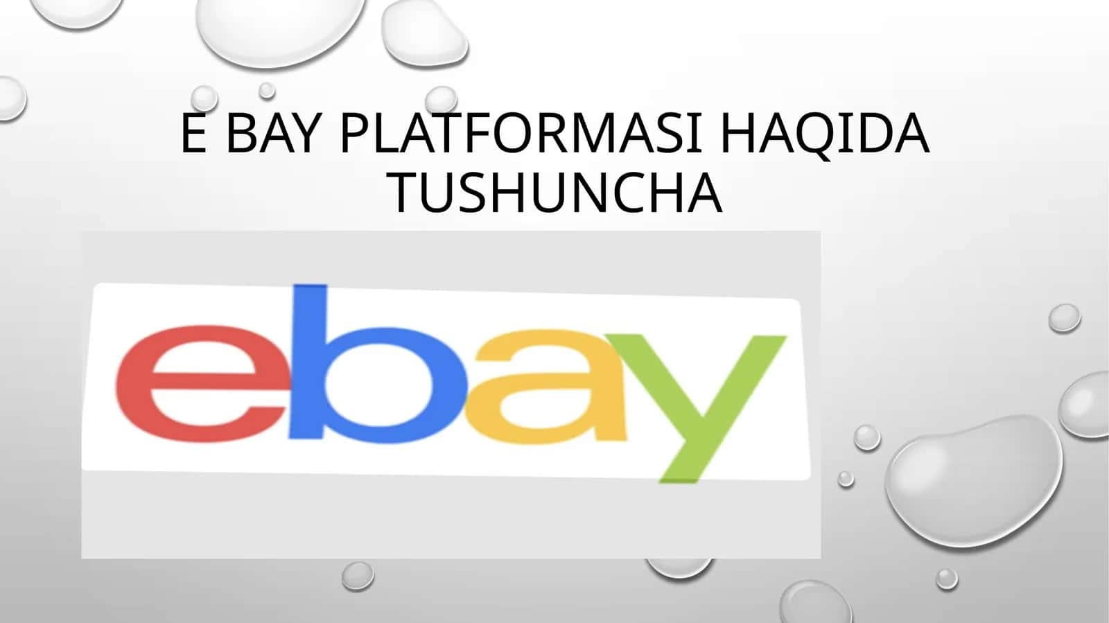 eBay Platformasi