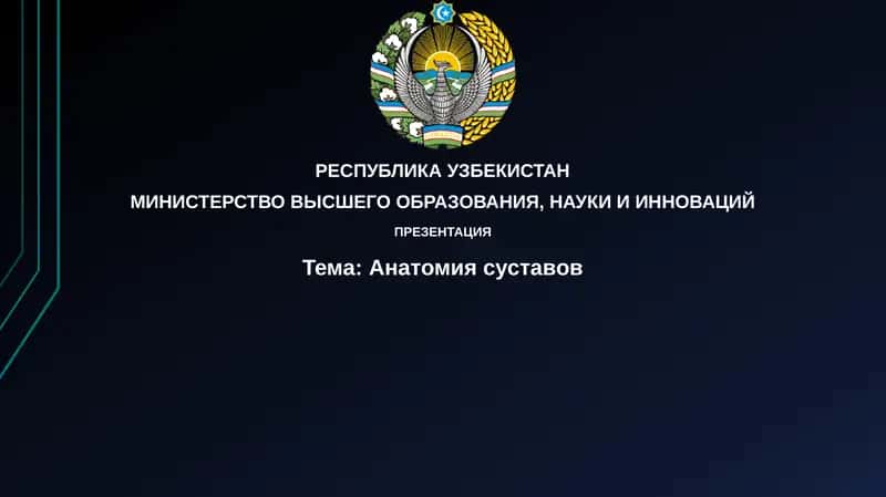 Анатомиясуставов