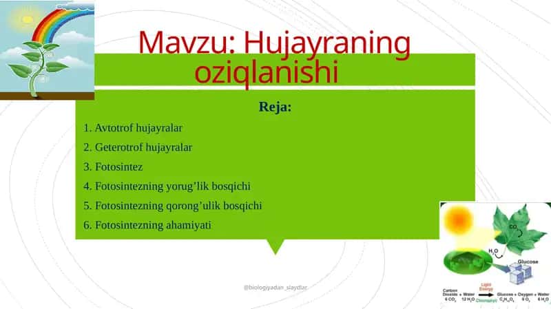 Hujayraning oziqlanishi.