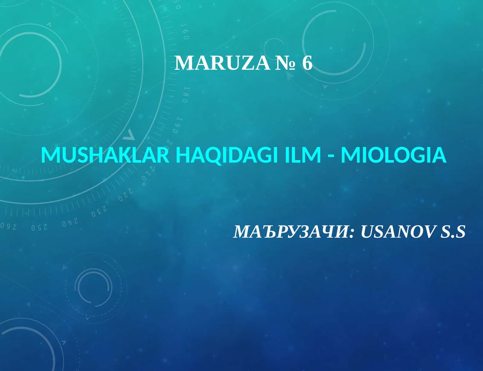 Maruza№6
