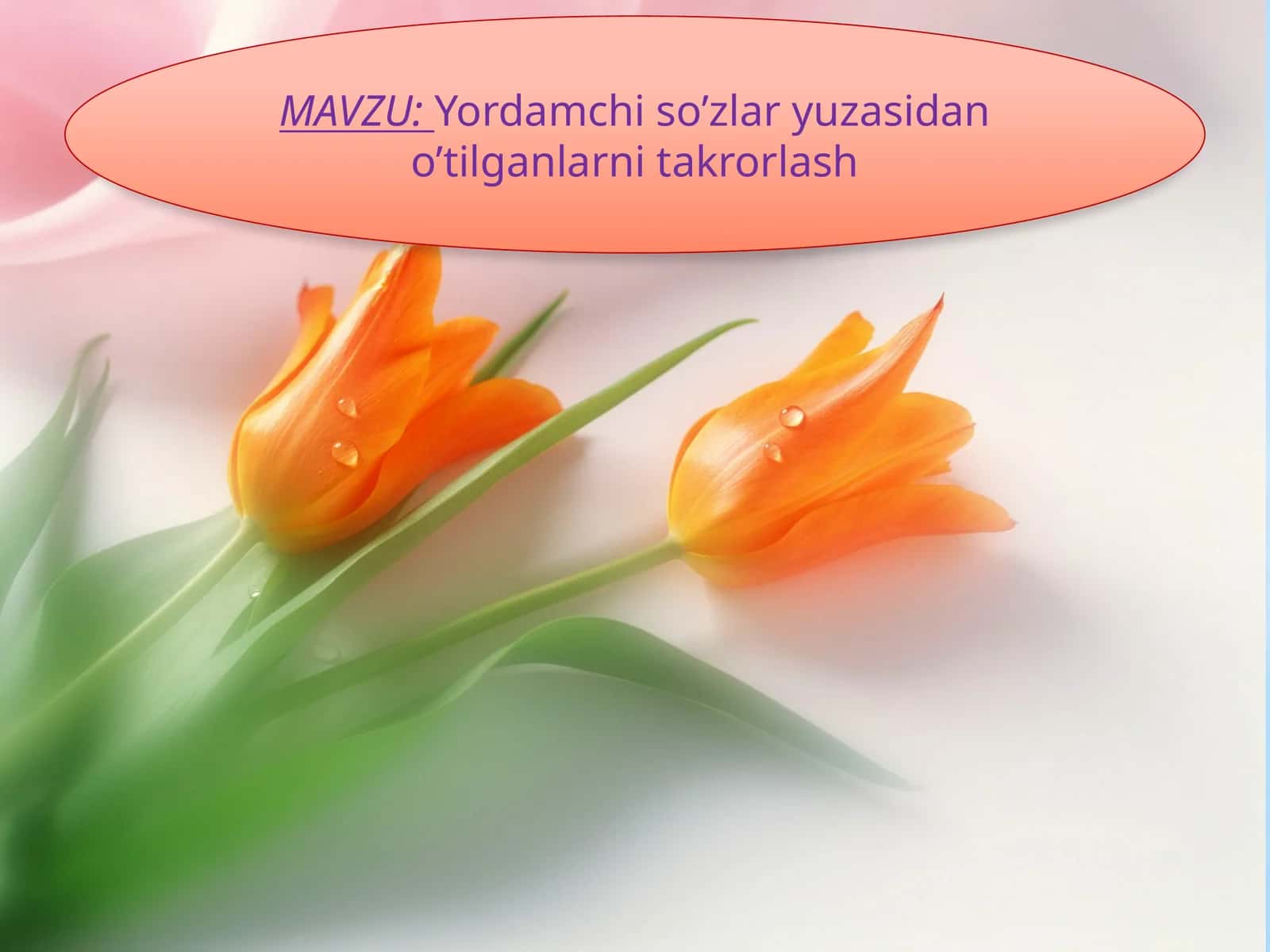 8-sinf Ona tili dars ishlanma. Yordamchi so'zlar yuzasidan o'tilganlarni takrorlash