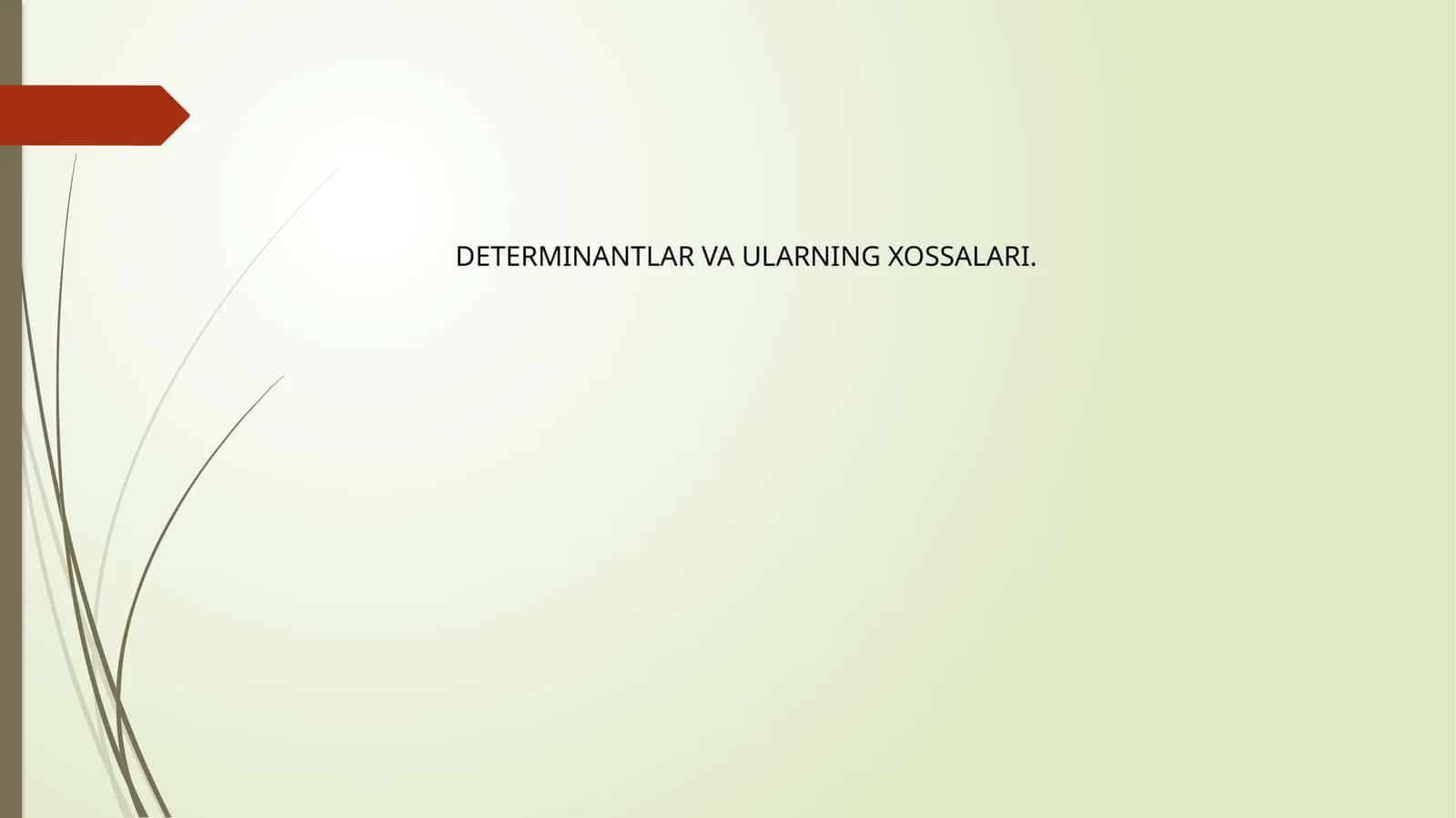 DETERMINANTLAR VA ULARNING XOSSALARI