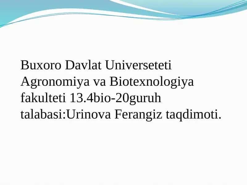 Yalpizdoshlar