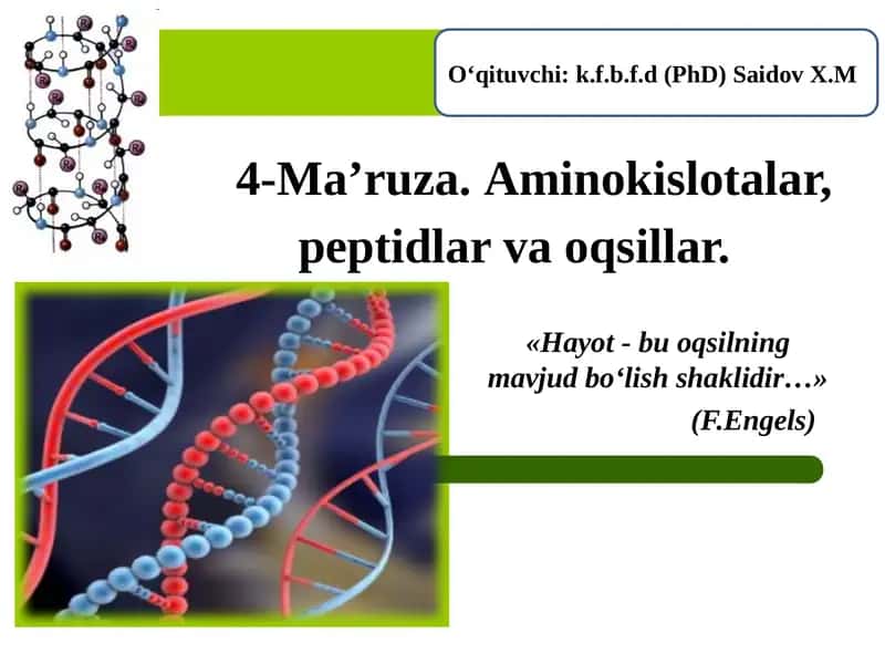 Aminokislotalar, peptidlar va oqsillar