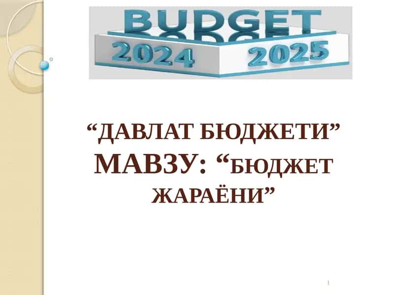 Davlat budjeti jarayoni