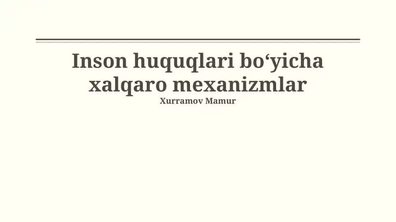 Inson huquqlari boʻyicha xalqaro mexanizmlar