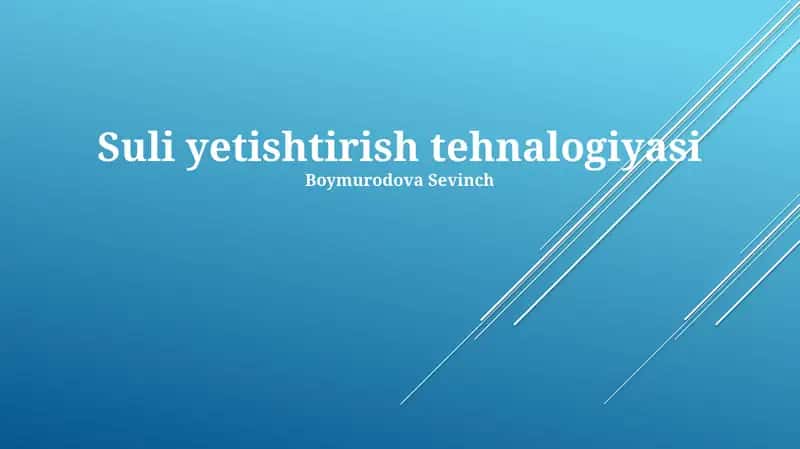 Suli yetishtirish tehnalogiyasi