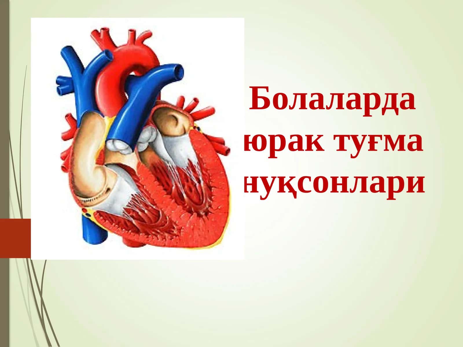 Болаларда юрак туғма нуқсонлари