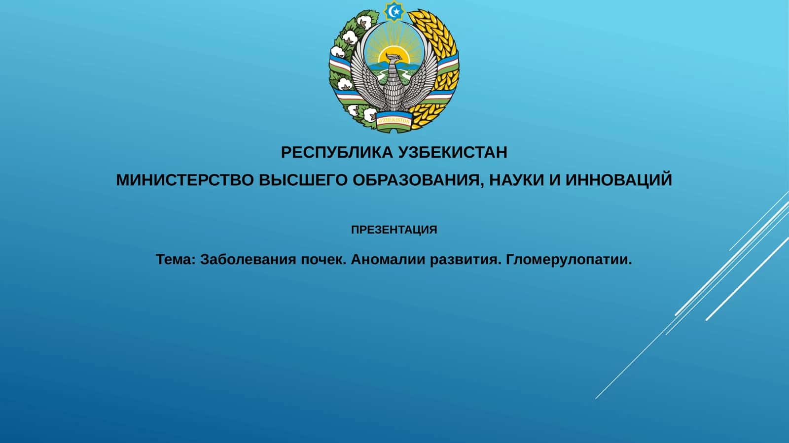 Презентация Заболевания почек. Аномалии развития. Гломерулопатии