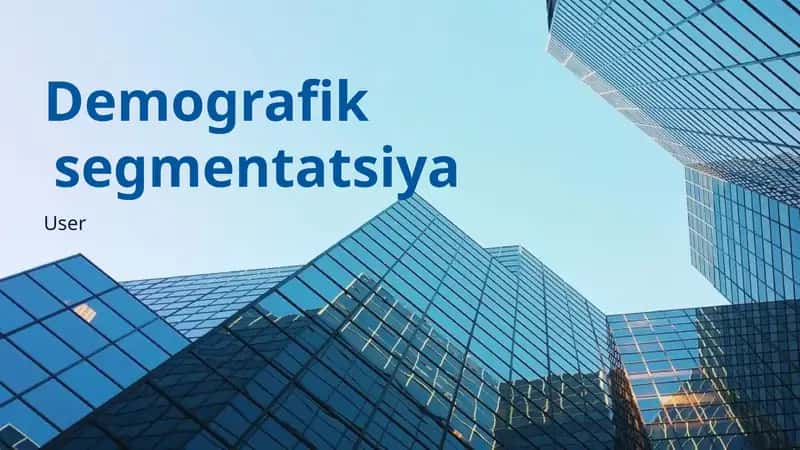 Demografik Segmentatsiya