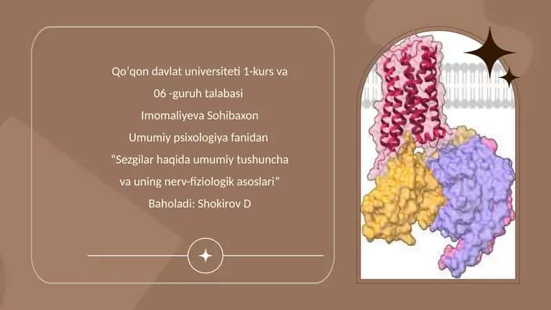 Sezgilar haqida umumiy tushuncha va ularning nerv-fiziologik asoslari