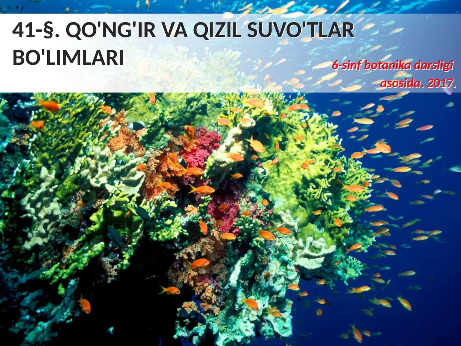 6-sinf Botanika dars ishlanma. Qo'ng'ir va qizil suvo'tlari