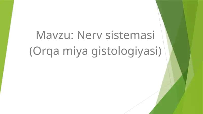 Orqa miya gistologiyasi