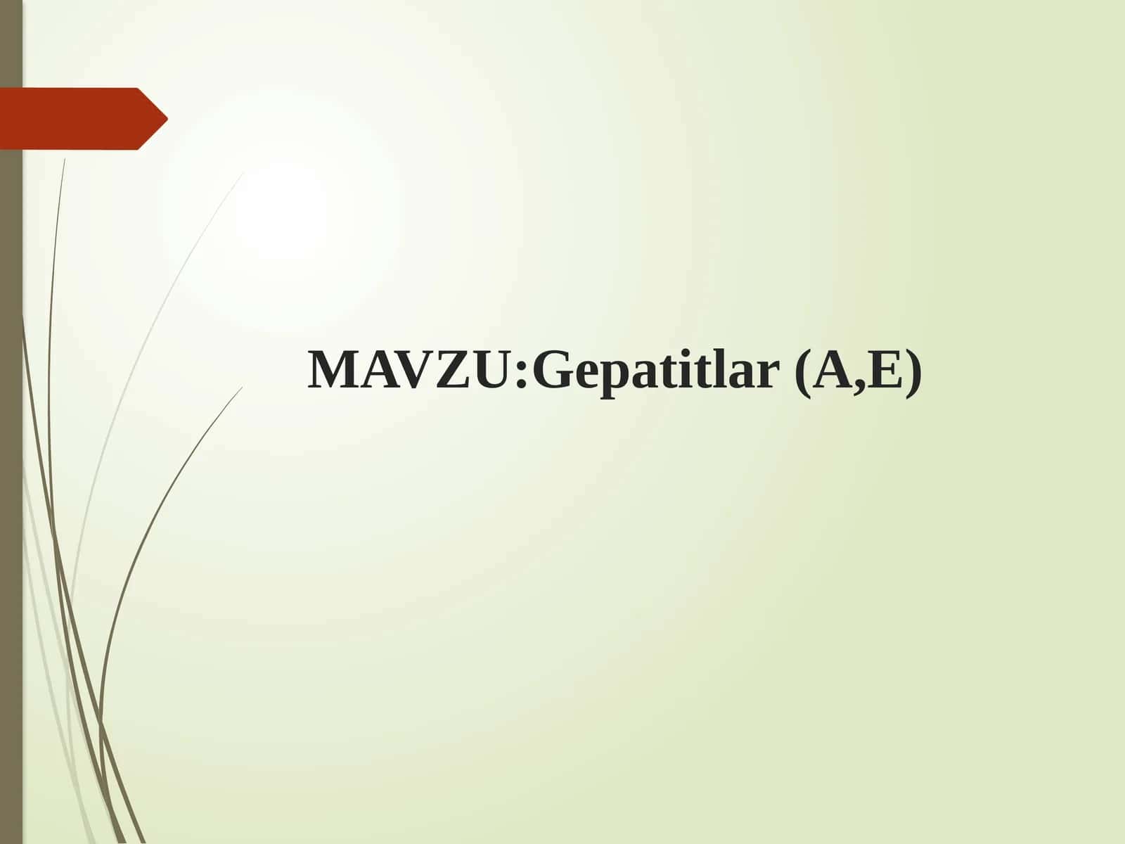 Gepatitlar(A,E)
