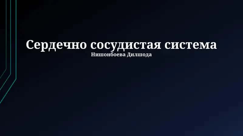 Сердечно сосудистая система