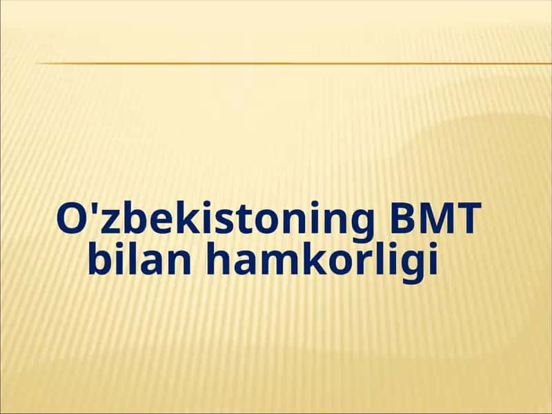 Birlashgan millatlar tashkiloti (BMT)