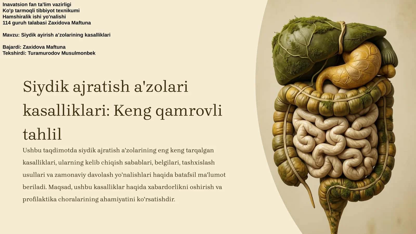 Siydik ajratish a'zolari kasalliklari: Keng qamrovli tahlil