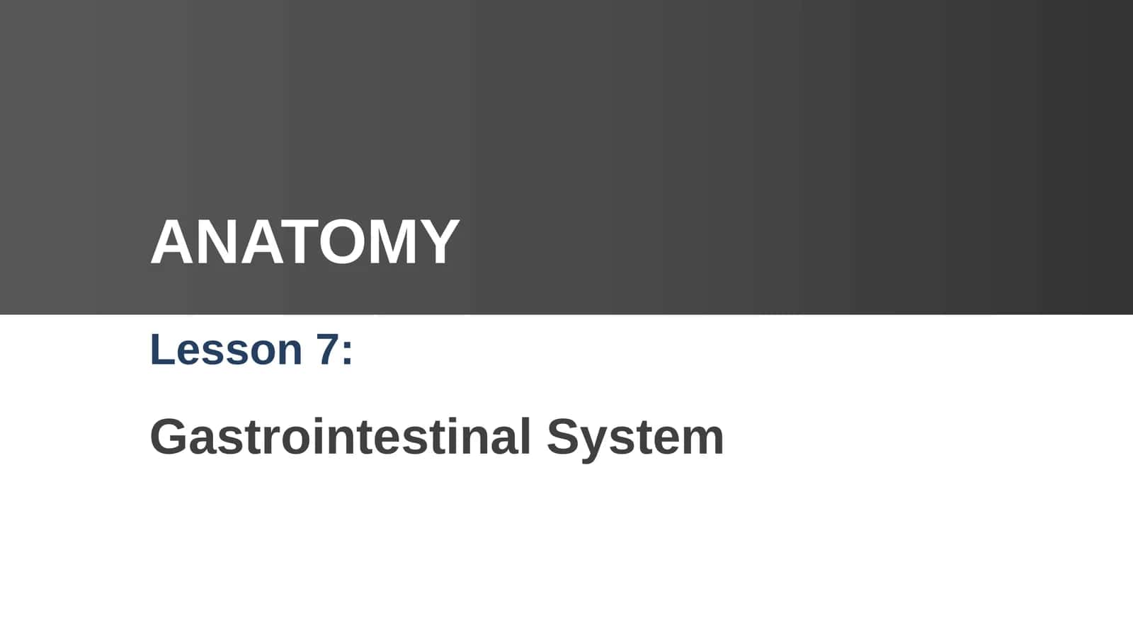 Gastrointestinal System Lesson 7