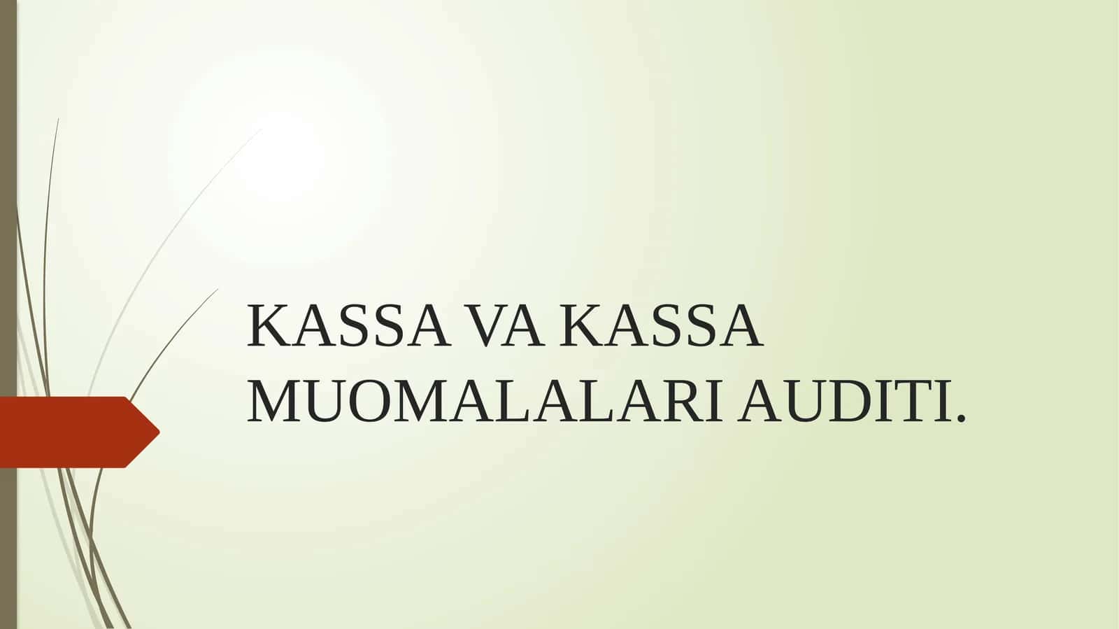KASSA VA KASSA MUOMALALARI AUDITI
