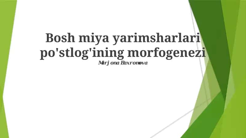 Bosh miya yarimsharlari po'stlog'ining morfogenezi