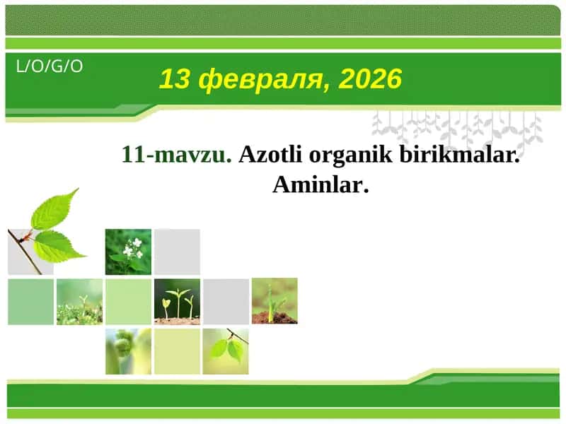 Аzоtli оrgаnik birikmаlаr. Аminlаr
