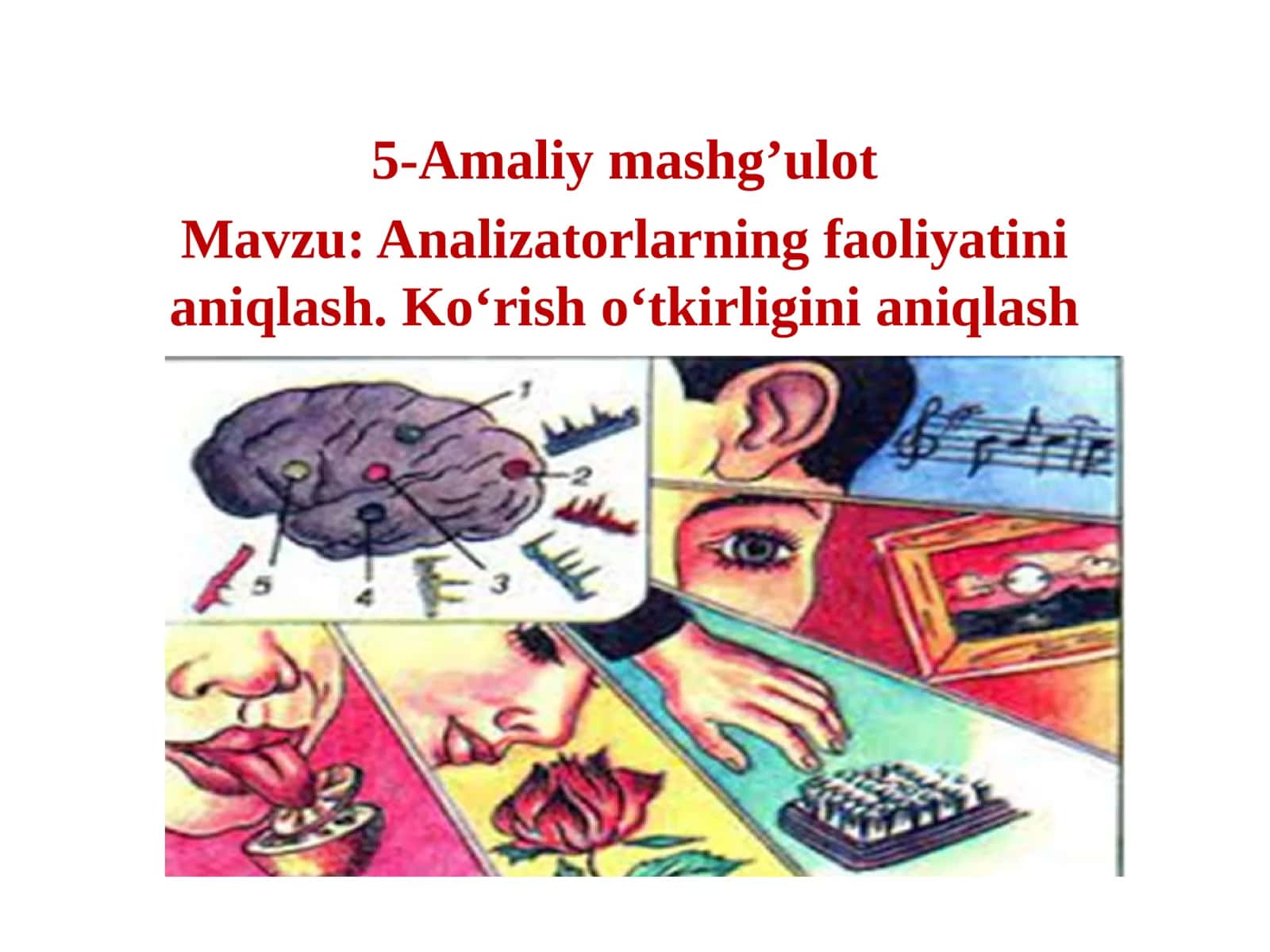 Analizatorlarning faoliyatinianiqlash. Ko‘rish o‘tkirliginianiqlash