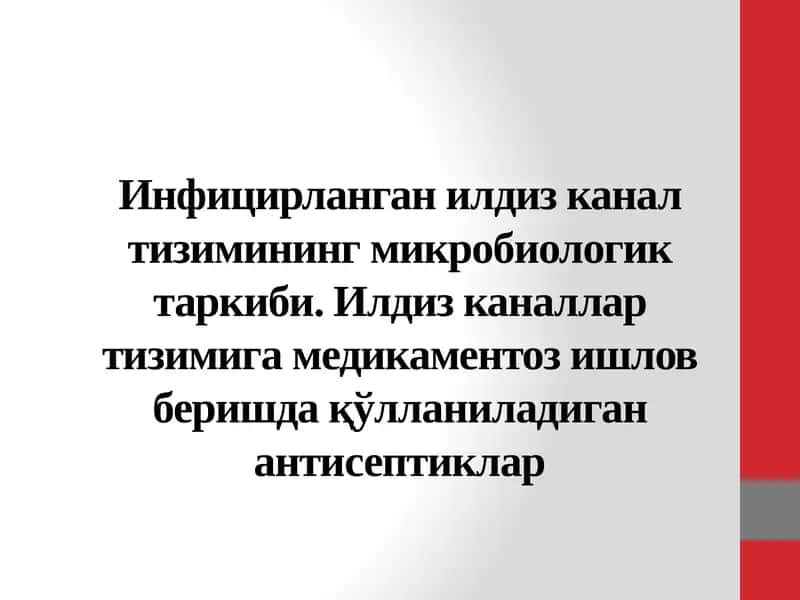 Илдиз канал тизимининг микробиологик таркиби