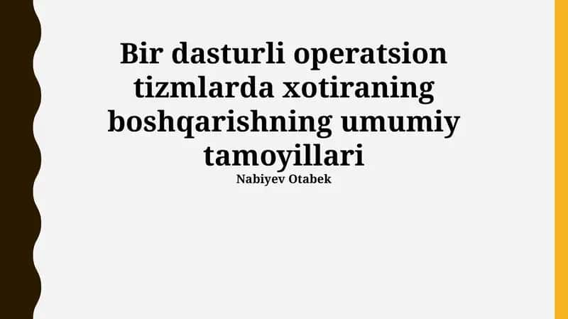 Bir dasturli operatsion tizmlarda xotiraning boshqarishning umumiy tamoyillari