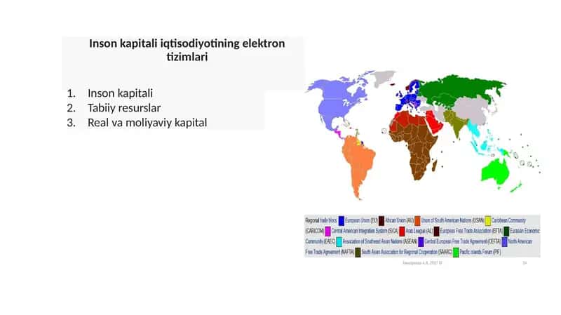 Inson kapitali iqtisodiyotining elektron tizimlari