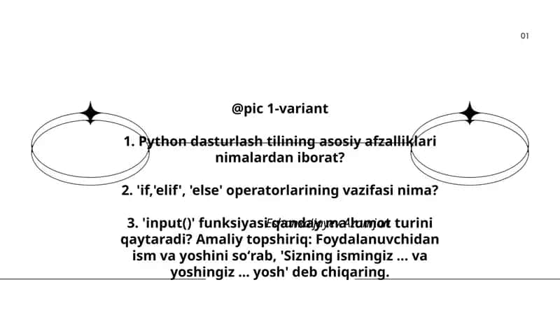 Python dasturlash tili