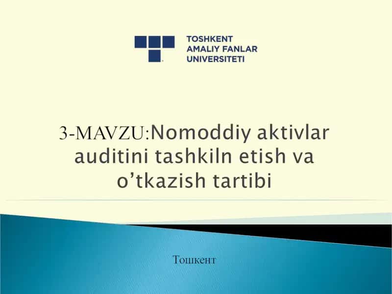 Nomoddiy aktivlar auditini tashkiln etish va o’tkazish tartibi