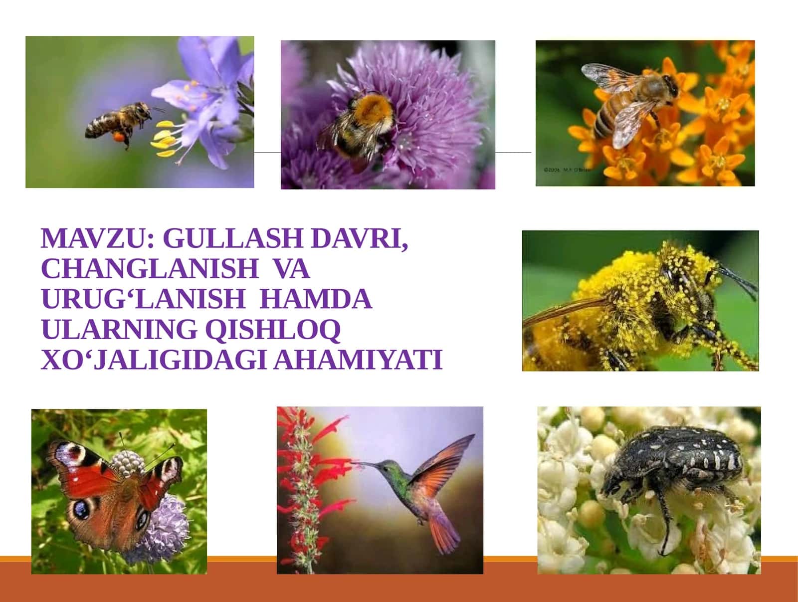 GULLASH DAVRI, CHANGLANISH VA URUG‘LANISH HAMDA ULARNING QISHLOQ XO‘JALIGIDAGI AHAMIYATI