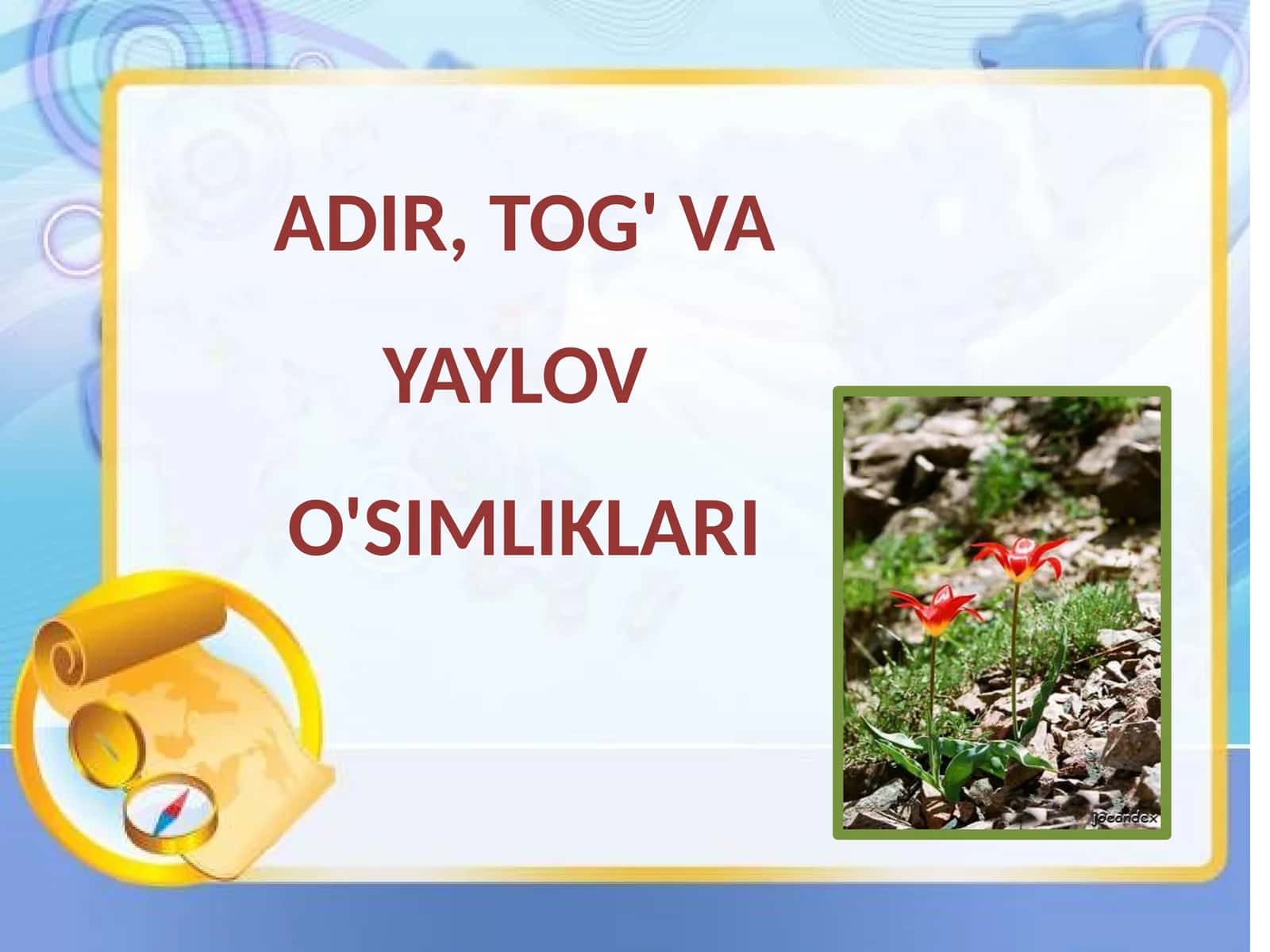 6-sinf Botanika dars ishlanma. Adir, tog' va yaylov o'simliklari